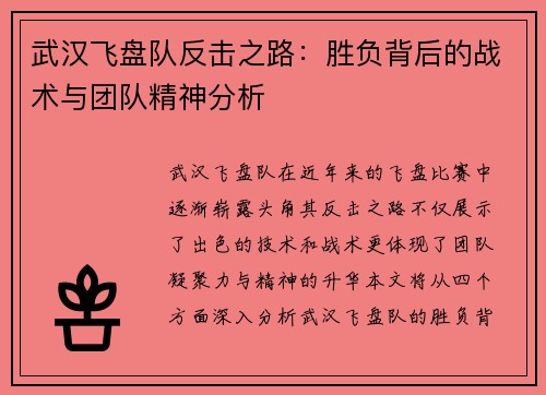 武汉飞盘队反击之路：胜负背后的战术与团队精神分析