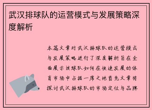 武汉排球队的运营模式与发展策略深度解析